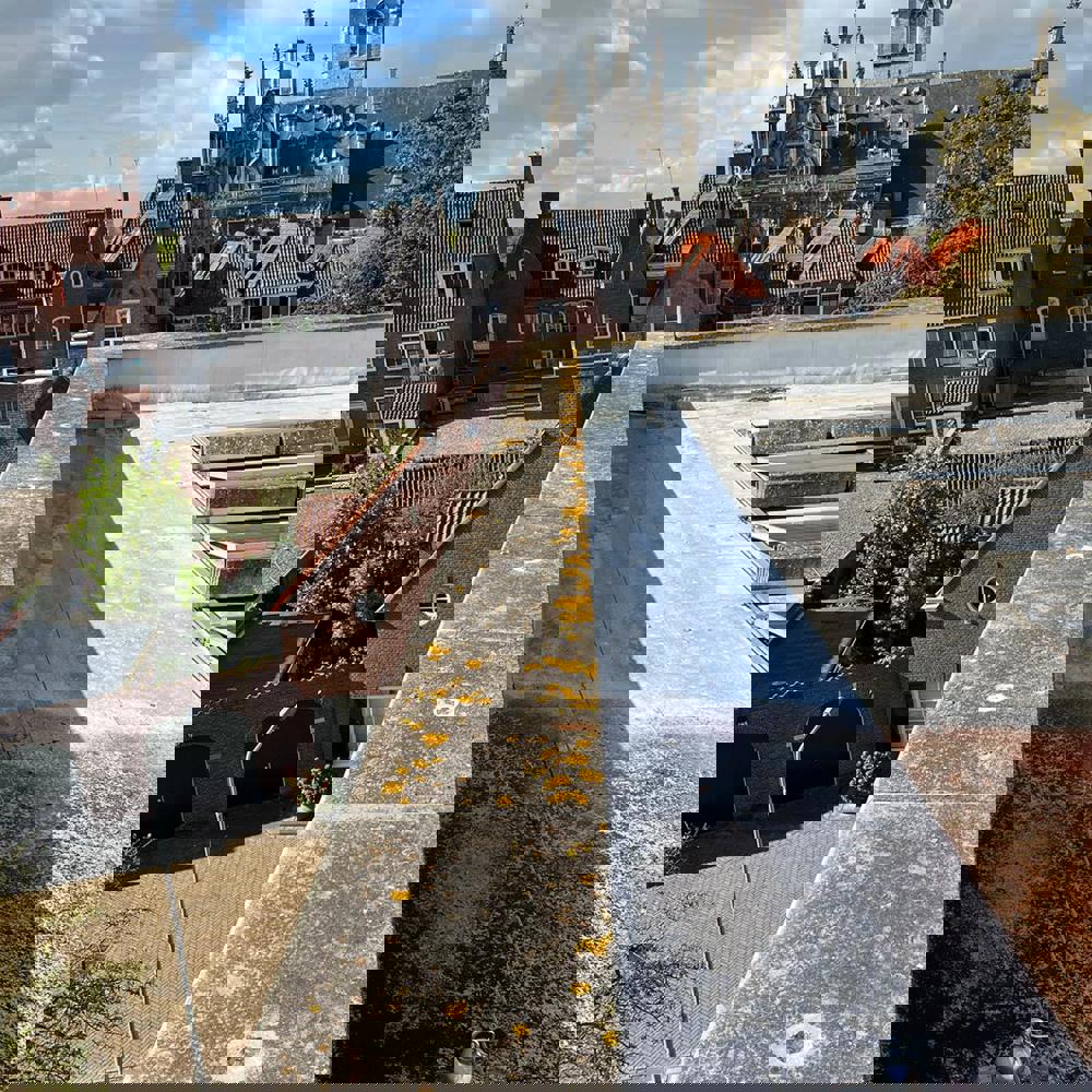 1 (3)