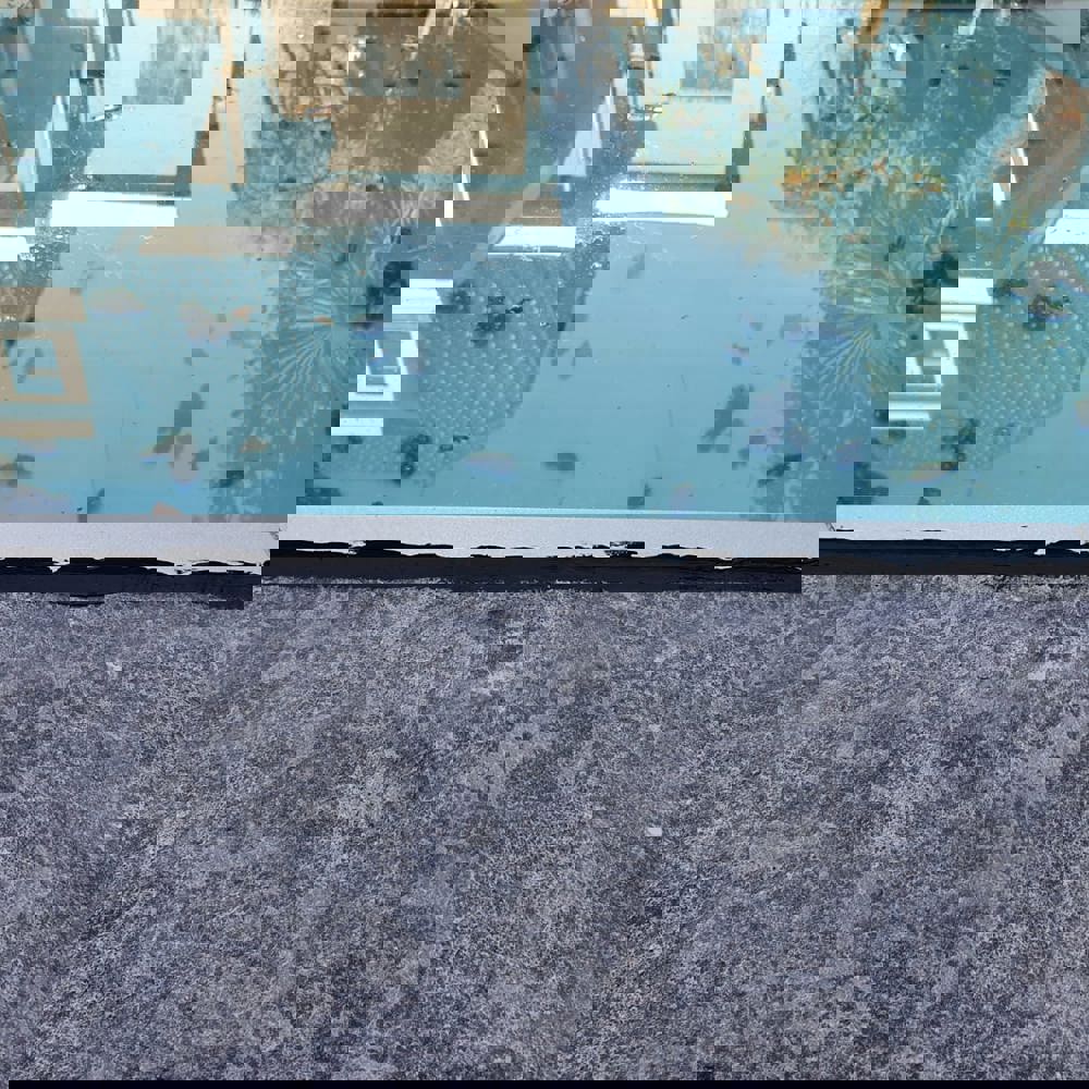 Whatsapp Image 2020 11 10 At 14.03.24